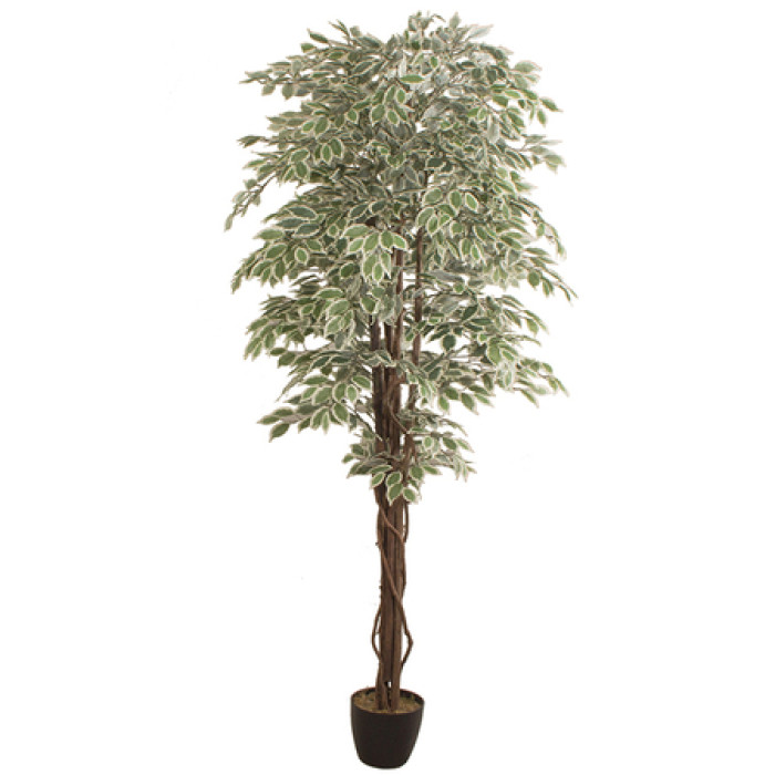Artificial plant FICUS 2.40m